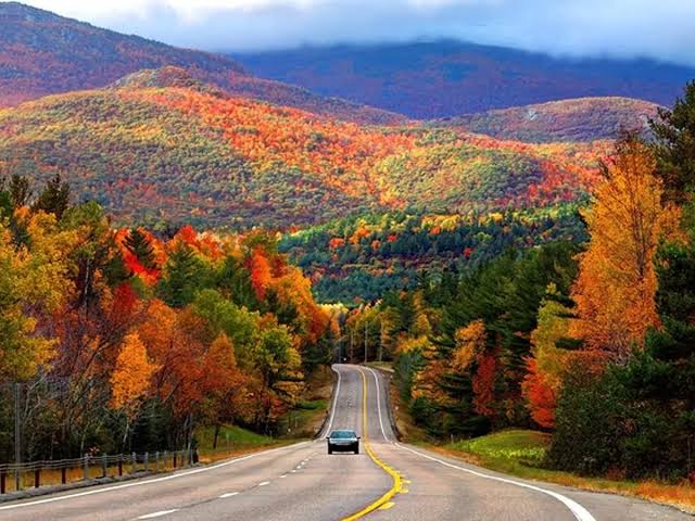 FALL