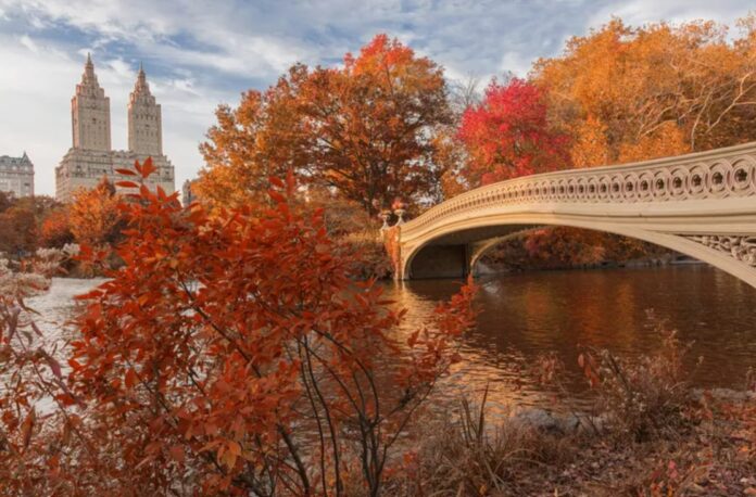 fall