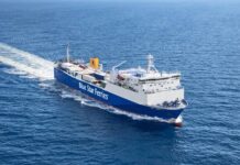 BLUE CARRIER 2: Μέτρα προστασίας του περιβάλλοντος μετά τη φωτιά βόρεια της Μυκόνου