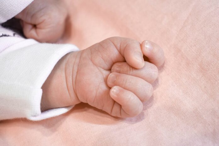 new_baby
