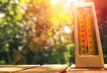 Ρεκόρ 50.000 θανάτων από τον φετινό καύσωνα στην Ευρώπη